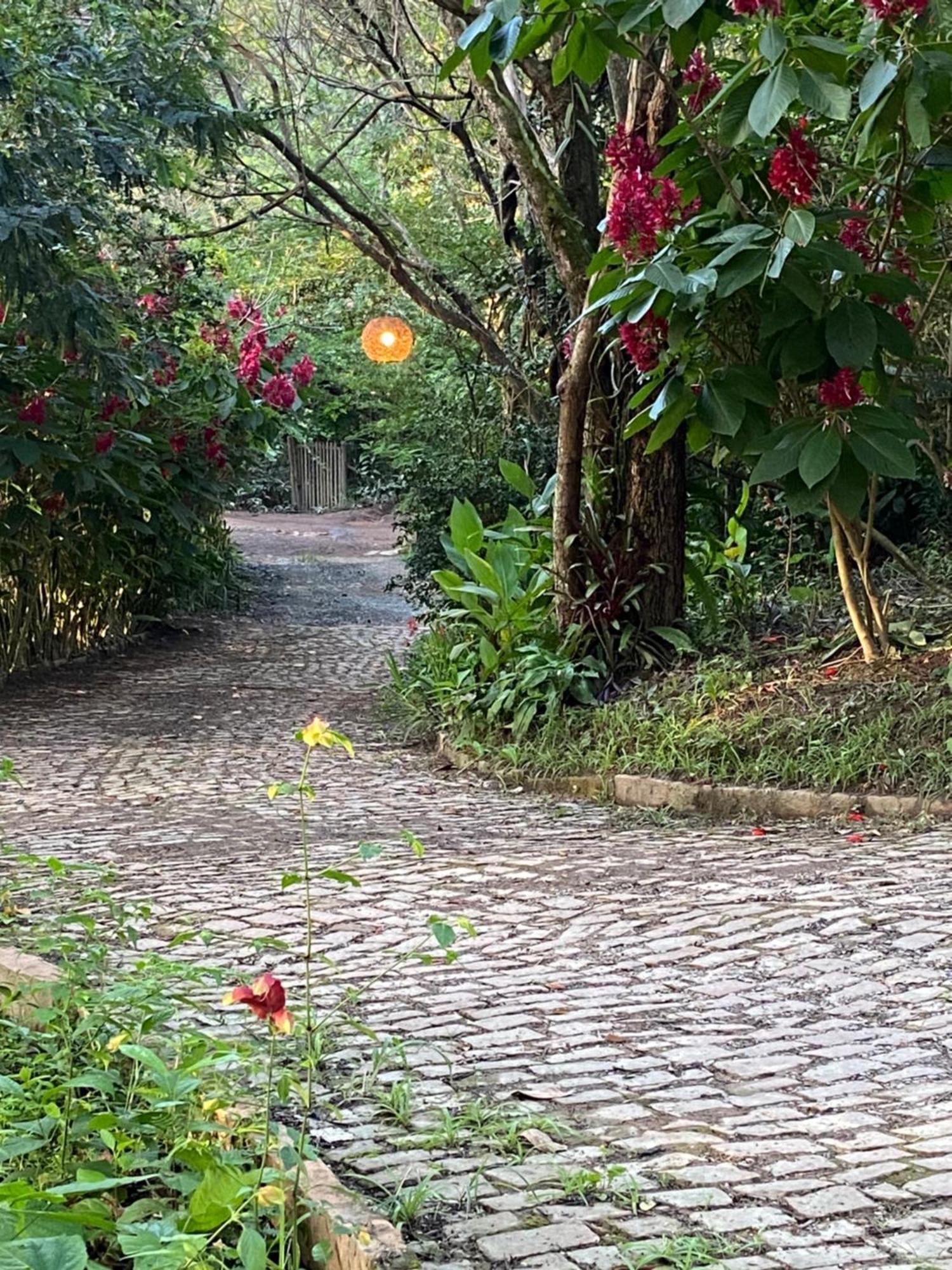 ואלה דה קפאו Vila Esperanca מראה חיצוני תמונה